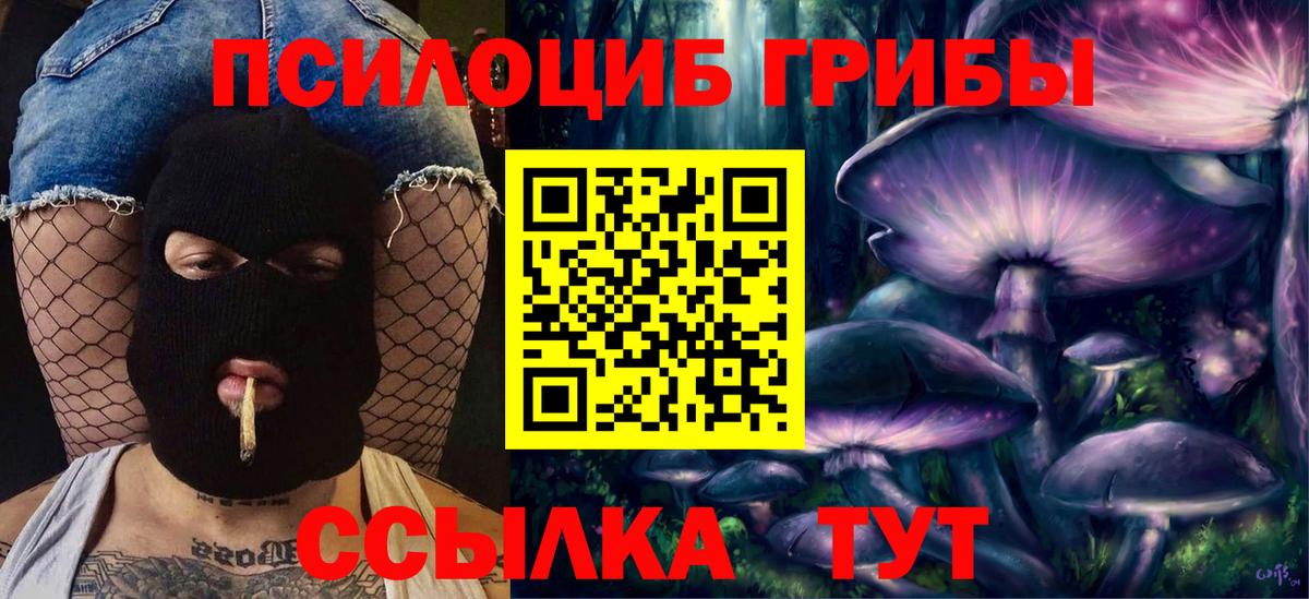 Псилоцибиновые грибы Cubensis Чапаевск